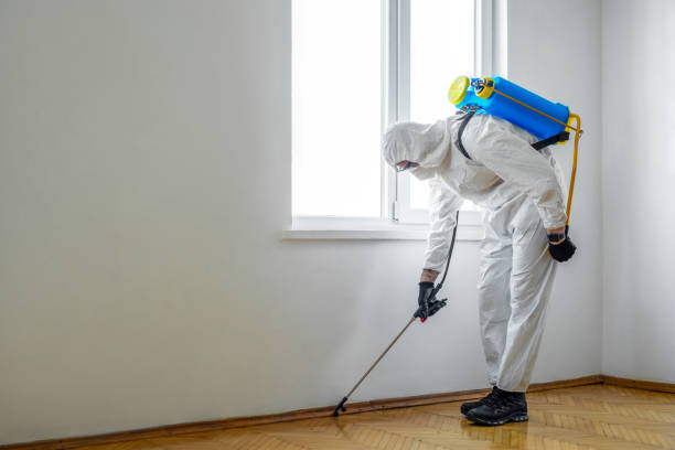 Best Real Estate Pest Inspections  in Lakewood, WA